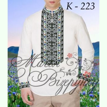К-223