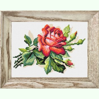 Червона троянда N-1813