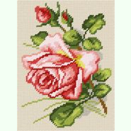 «Рожева троянда», К. Кляйн D-37