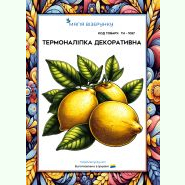 ТН-1057. Термоналіпка для вишивки
