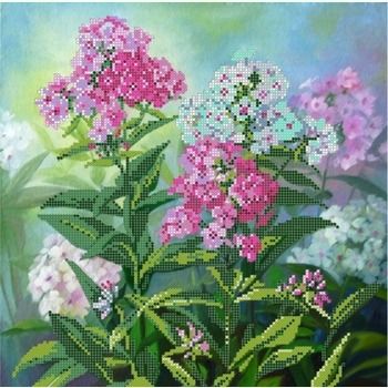 Флоксы S-040