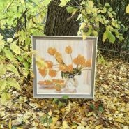Життя прекрасне 10308