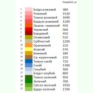 З шипшиною Н-075. Заготовка до жіночої вишиванки